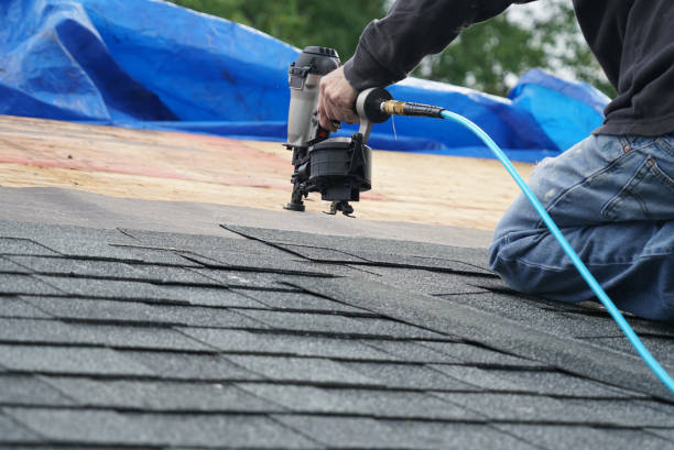 Asphalt Shingles Roofing in Dupo, IL