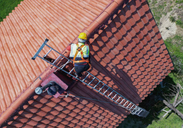 Best Sheet Metal Roofing  in Dupo, IL