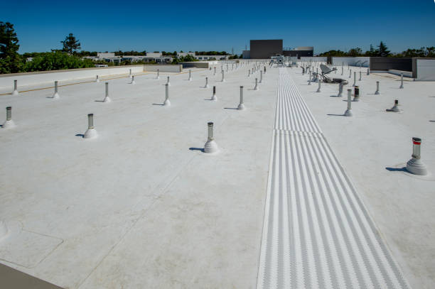 Best Metal Roofing Installation  in Dupo, IL